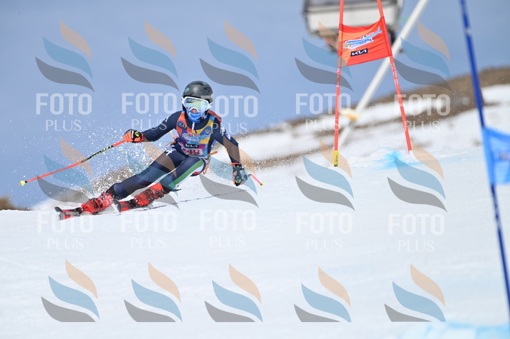 BGV_1849 | holidayphoto