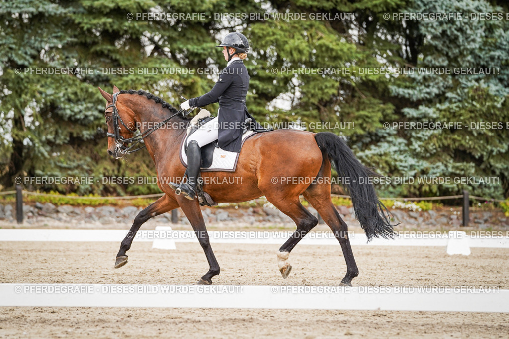 DSC05542 | Pferdegrafie