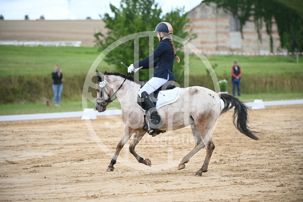 DSC_6235 | sattelsport - Realisiert mit Pictrs.com