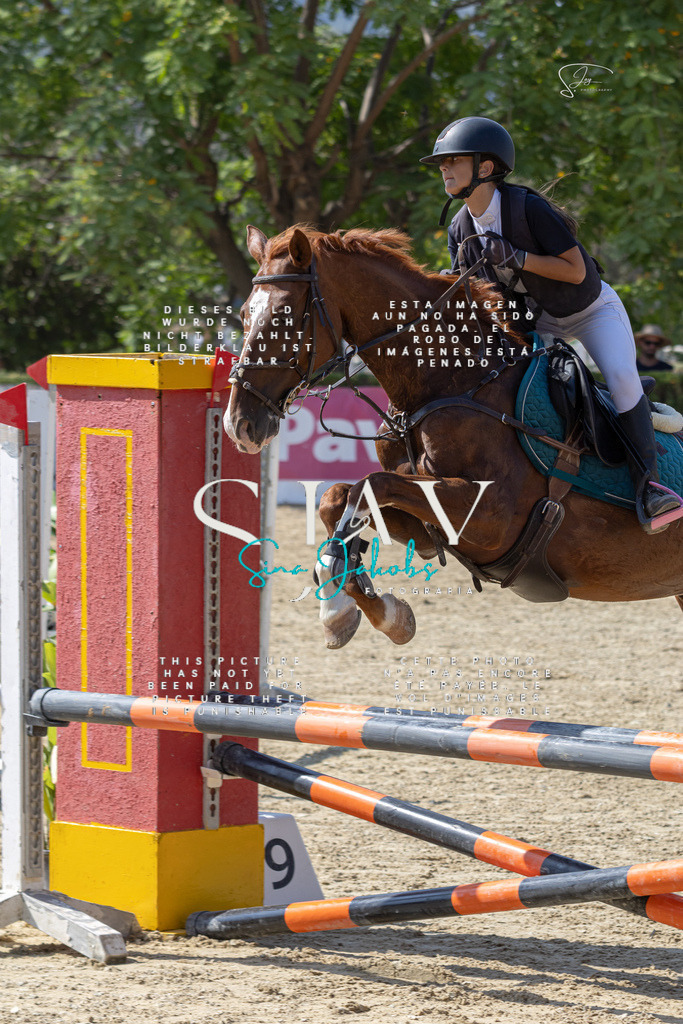 IMG_9753 | s-jay-photography - Realisiert mit Pictrs.com