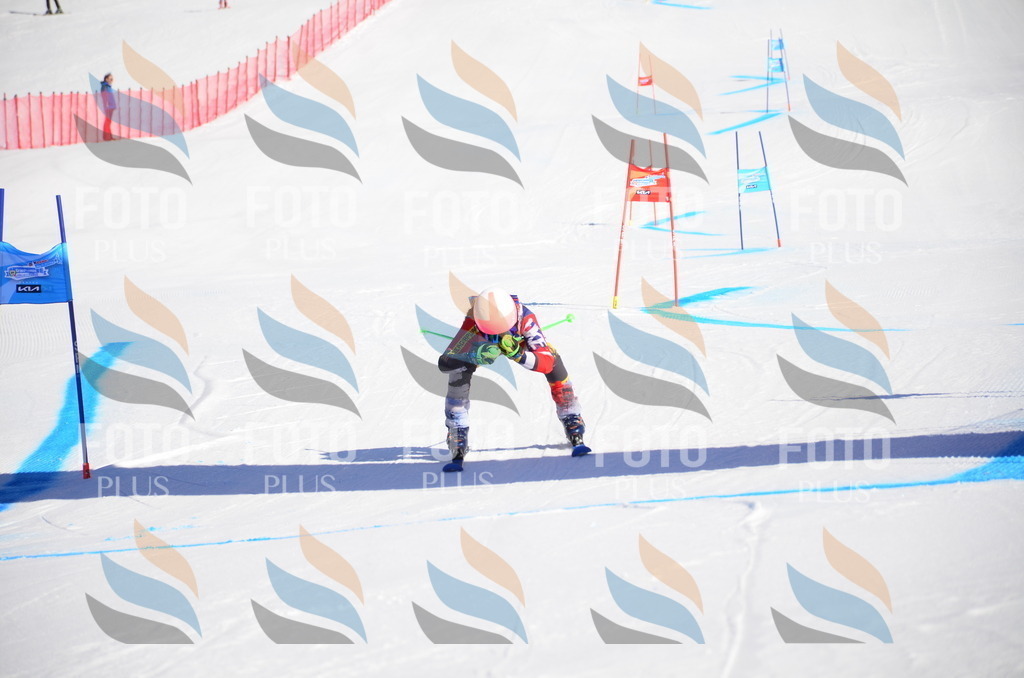 VR4_8464 | holidayphoto