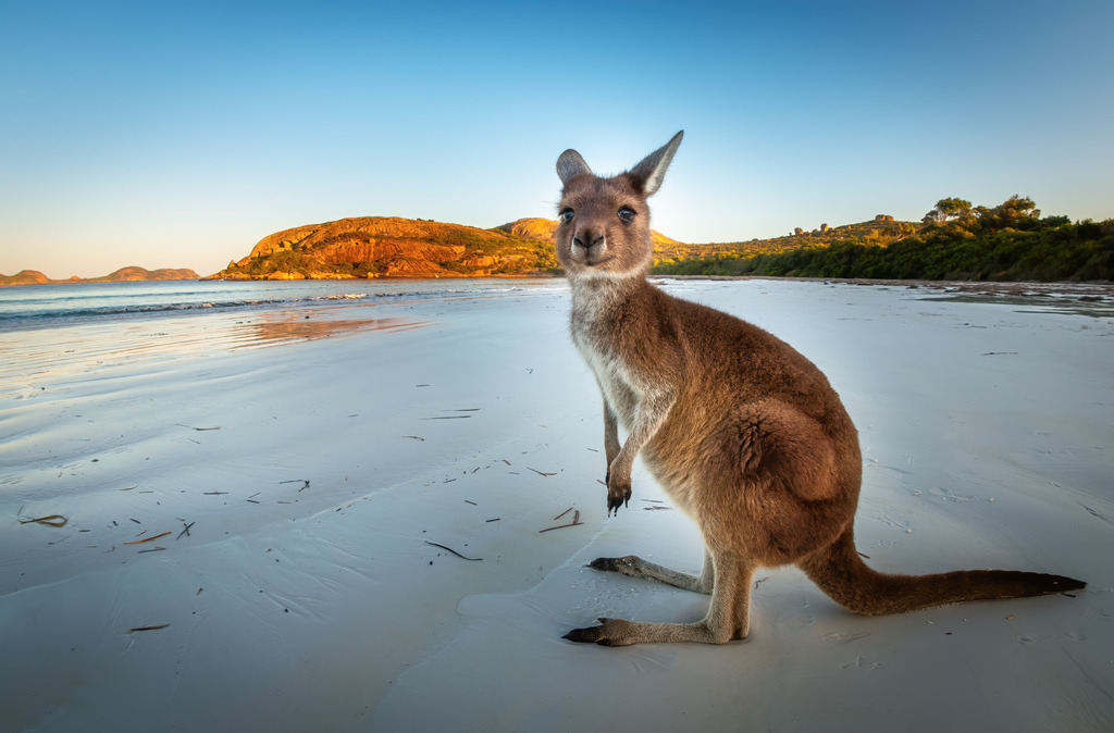 Australien Lucky Bay 01 | christophschaarschmidt - Realisiert mit Pictrs.com