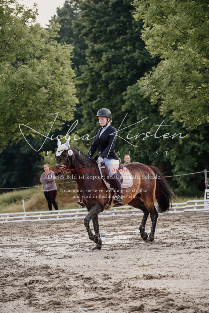 DSC_8166 | Pferde- und Turnierfotografie in Westsachsen. Pferdeportraits, Auftragszeichnungen und intuitive Kunst.