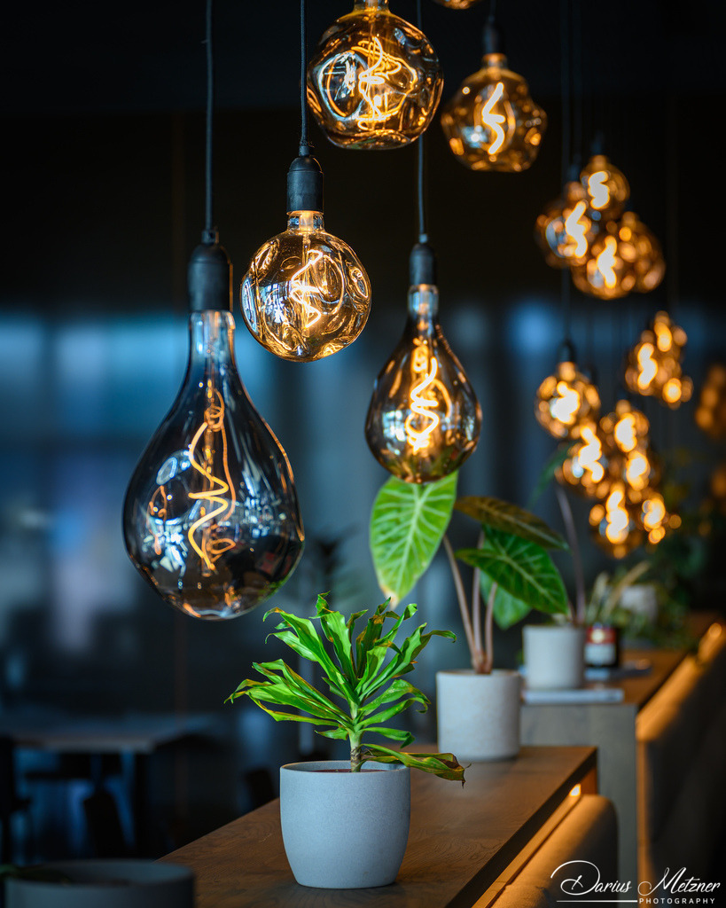 DSC_8389 | Fotografien, Fotos und Bilder aus Mainz, Frankfurt, Wiesbaden und anderen Orten auf der Welt - Fotografiert von Darius Metzner