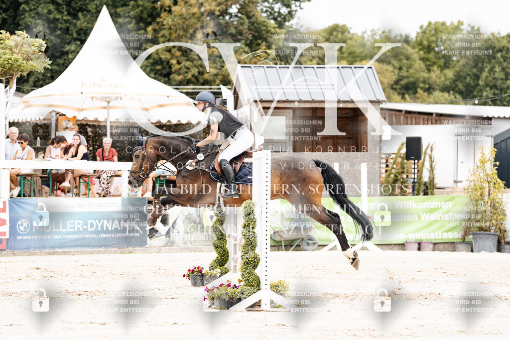CK907963 | Turnierfotografie Pferdefotografie Trier Rheinland-Pfalz Pferdesport Reitsport Tierfotografie Sportfotografie Pferdevideo Pferdevideografie Equestrianvideography equestrianphotography  - Realisiert mit Pictrs.com