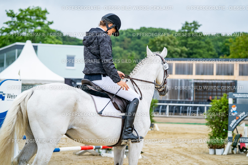 DSC02362 | Pferdegrafie