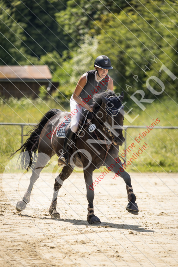 IMG_9216 | Sport-, Event- und Tierfotos in Profiqualität. Einfach auswählen, bestellen und herunterladen. Dein Moment – perfekt festgehalten.