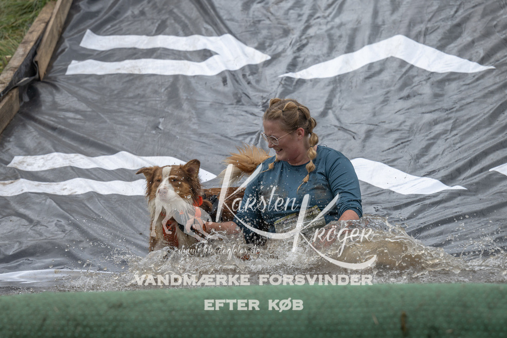 1535_ZZ94291 | kk-dogfotos