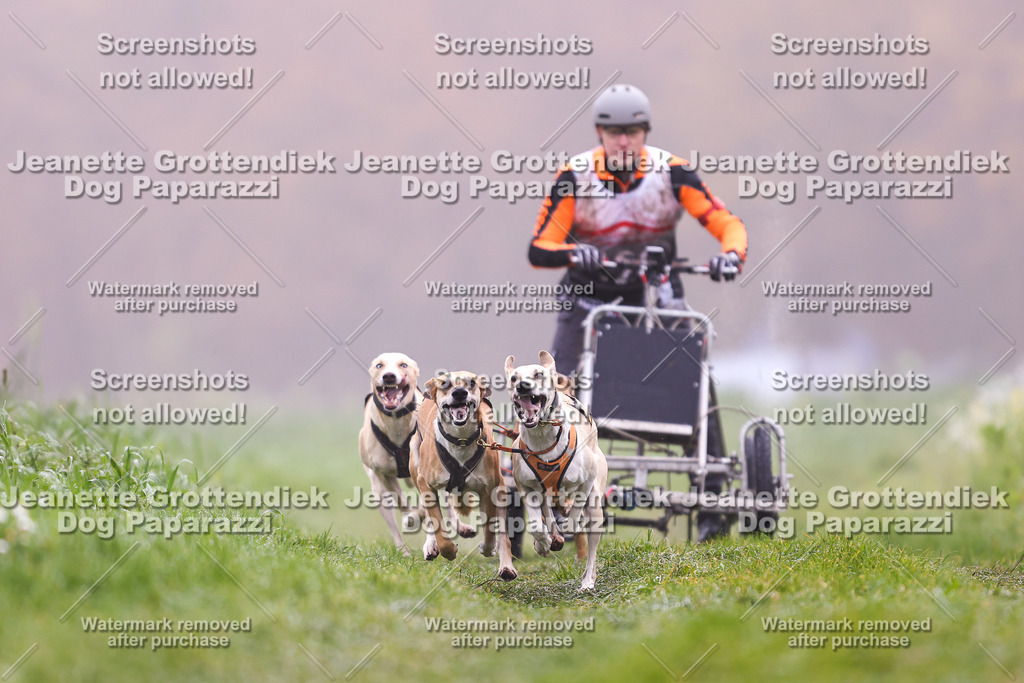 Dog Paparazzi - Visbeck 25 -5 | Dog Paparazzi Jeanette Grottendiek Fotografie & Videografie - Realisiert mit Pictrs.com