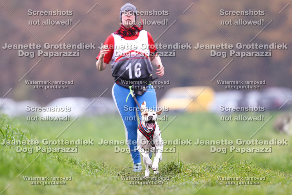 Dog Paparazzi - Visbeck 25 -826 | Dog Paparazzi Jeanette Grottendiek Fotografie & Videografie - Realisiert mit Pictrs.com