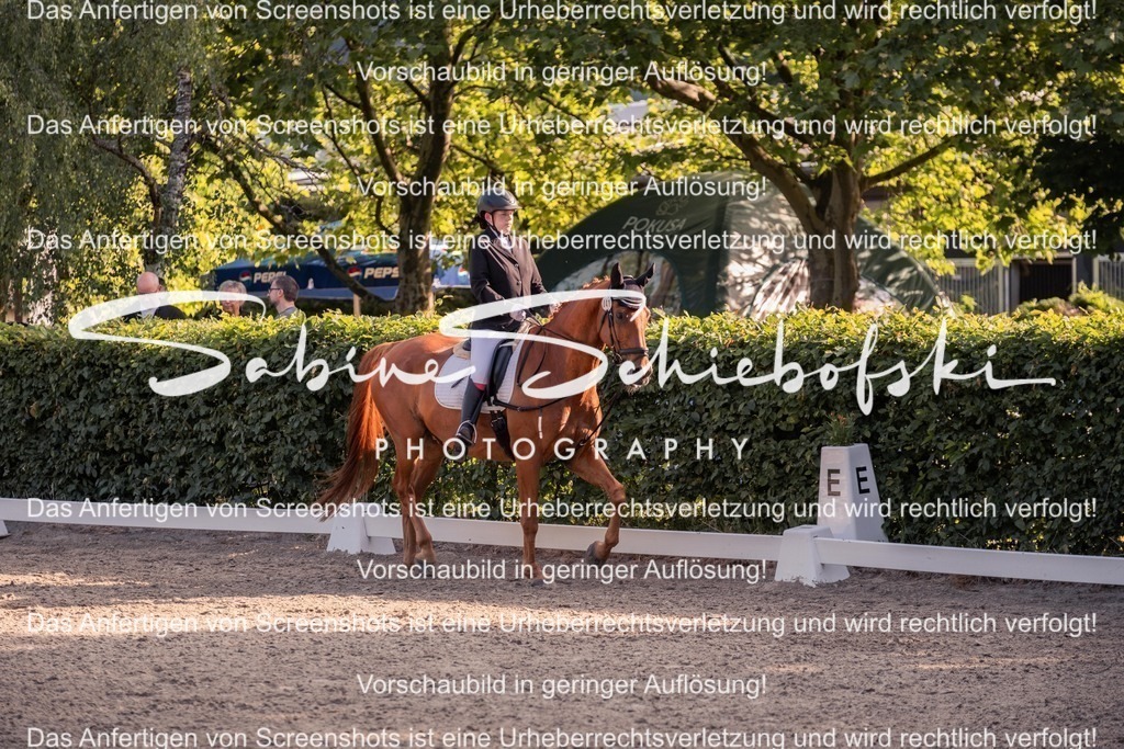 2025_05_31_DSCF2656 | People- und Tierfotografie, Imageaufnahmen, Veranstaltungsfotografie und Wandbilder aus der Natur ★ Made in Germany ✔️ Druck + Downloads ✔️ Naturfotografie in Top Qualität ★ schneller Versand, weltweite Lieferung! - Realisiert mit Pictrs.com