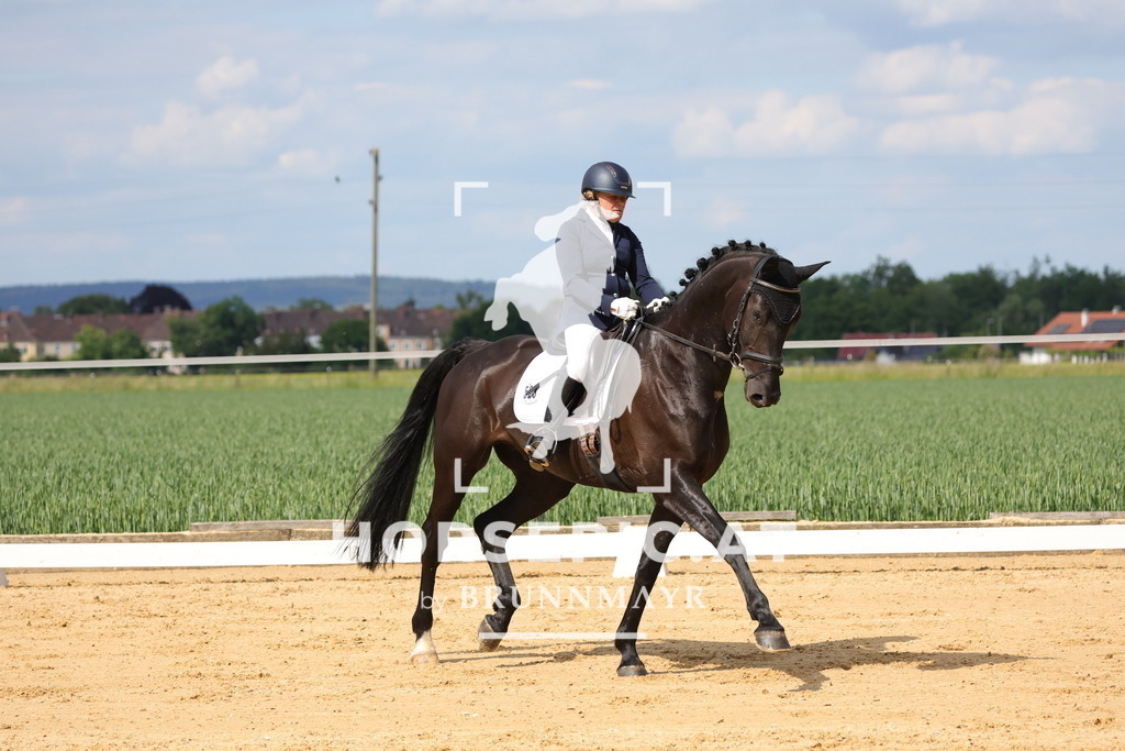 0P6A9087 | Willkommen bei Brunnmayr - Design & Fotografie – Ihrem Spezialisten für Reitturniere und Pferdeveranstaltungen in Oberösterreich, Salzburg und Bayern! Seit über 17 Jahren sind wir leidenschaftlich dabei.