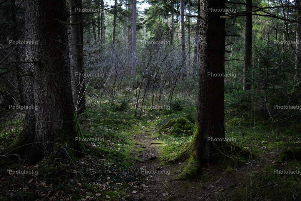 IMG_8107 | phototaetig