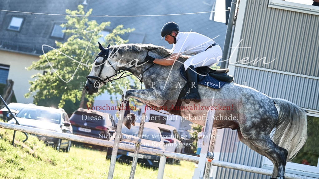 DSC_2823 | Pferde- und Turnierfotografie in Westsachsen. Pferdeportraits, Auftragszeichnungen und intuitive Kunst.
