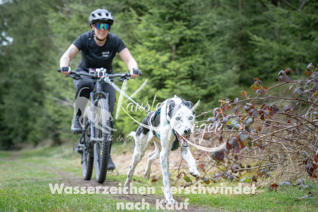 1311_ZZ93955 | kk-dogfotos
