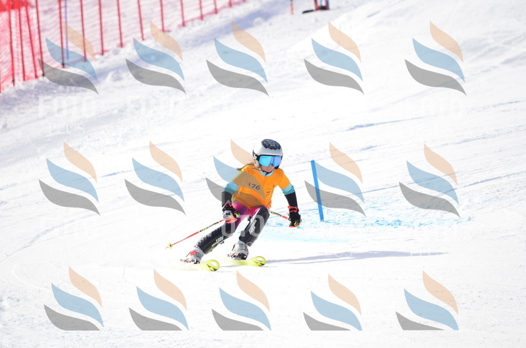 C7945 | holidayphoto