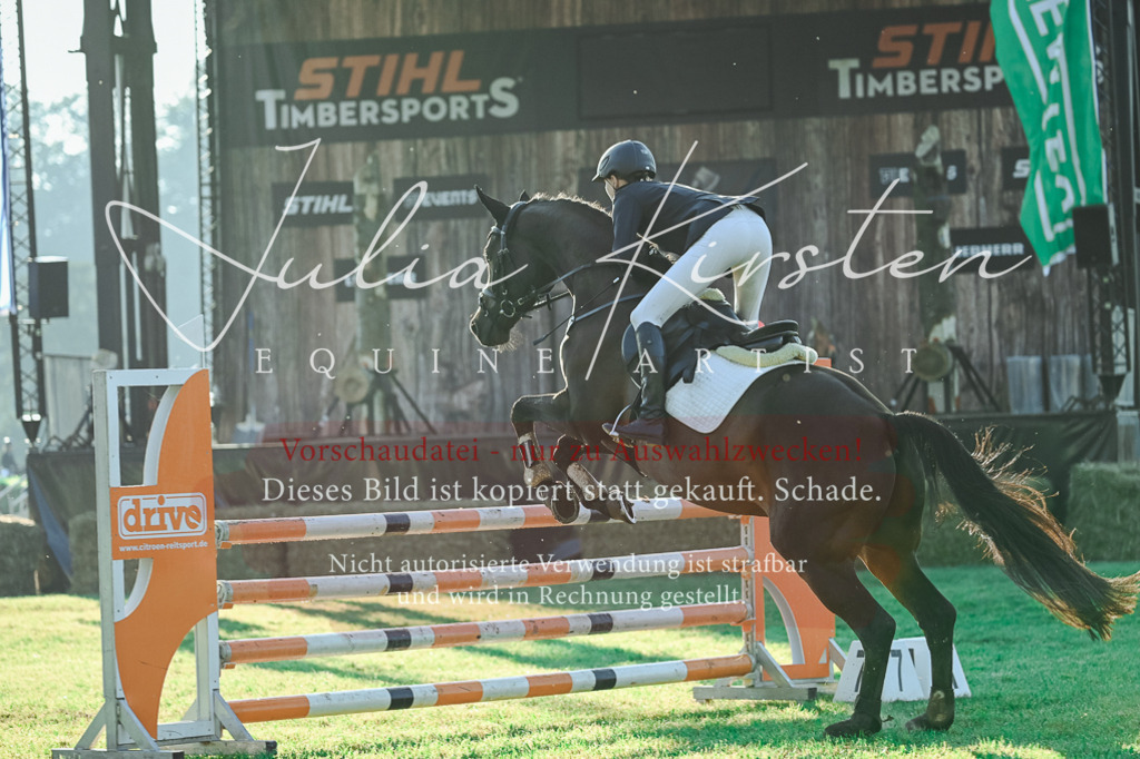 DSC_4190 | Pferde- und Turnierfotografie in Westsachsen. Pferdeportraits, Auftragszeichnungen und intuitive Kunst.