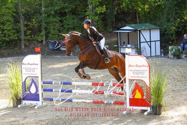 DKP42877 | Turniersportfotografie; Pferdefotografie; Dressurfotografie