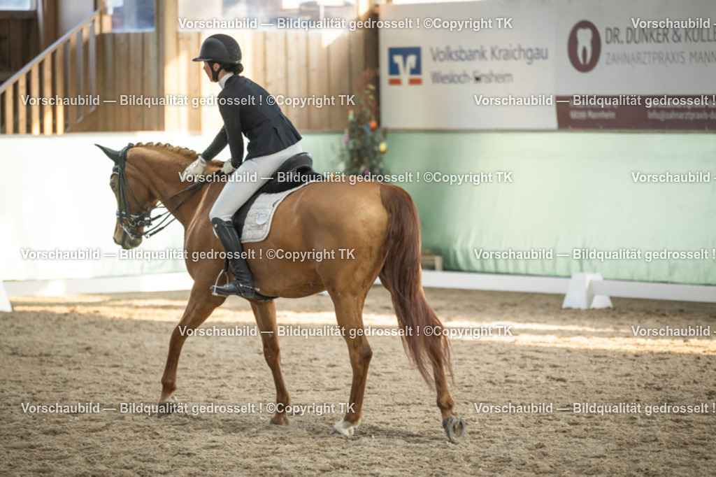 _D5A3329 | Emotionale Pferde- & People-Fotografie rund um Heidelberg, Leimen & Umgebung. Natürliche Fotos von Pferd, Mensch & Familie. Jetzt Termin sichern!