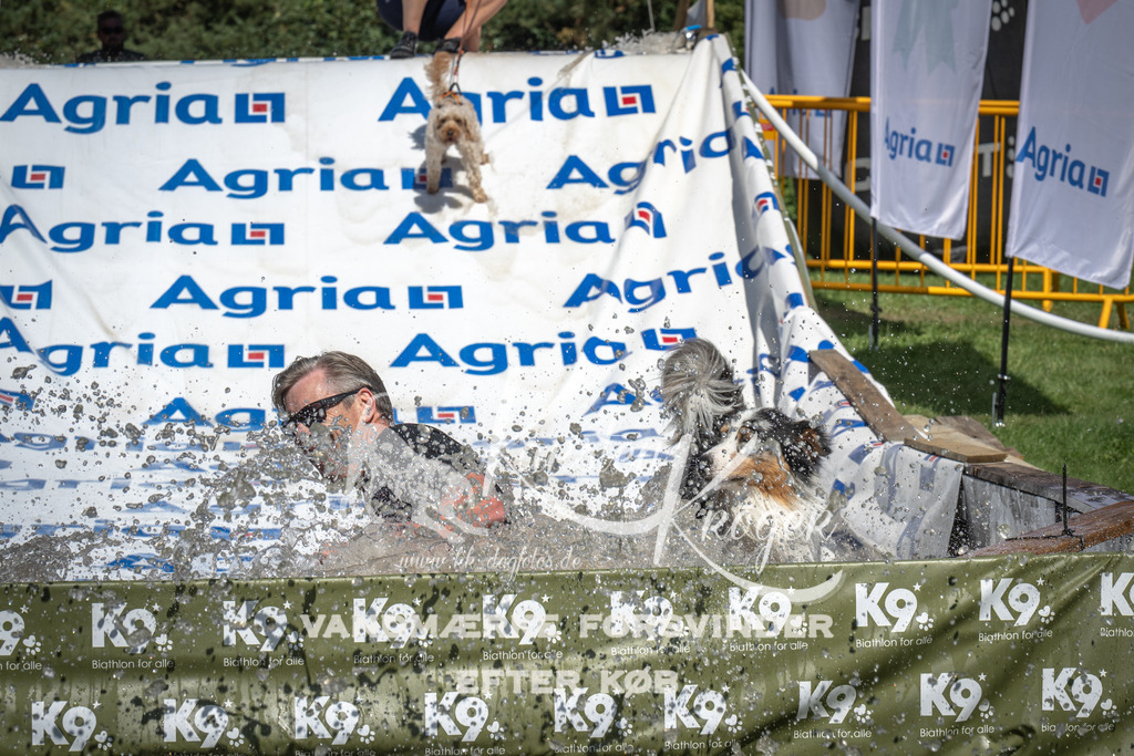 1415_ZZ93139 | kk-dogfotos