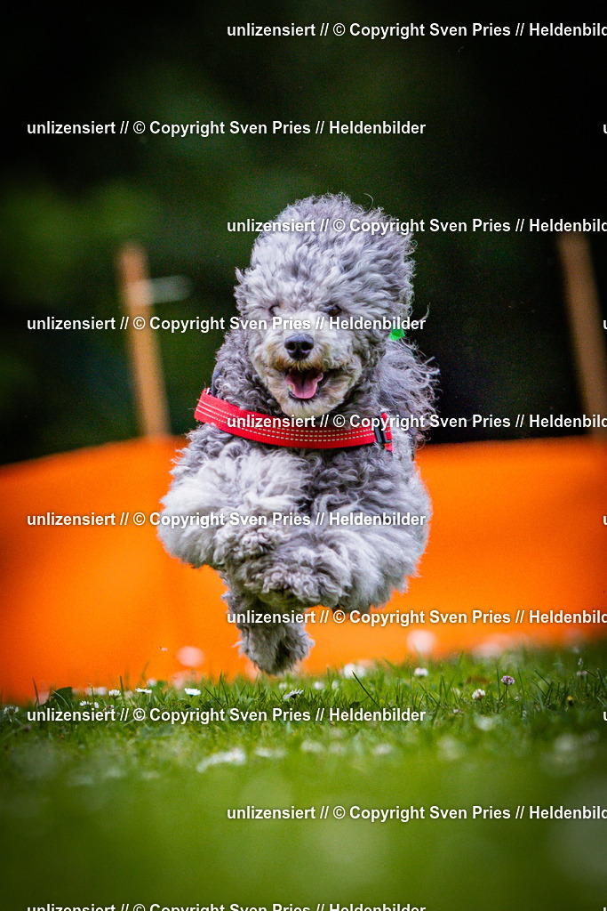 Sven Pries | 2025-05-29 - Pudelrennen KA-Durlach - Realisiert mit Pictrs.com