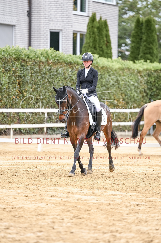 Schugtsche-Aluta25-42.EDressur -321 | Schugtsche Fotografie - Realisiert mit Pictrs.com