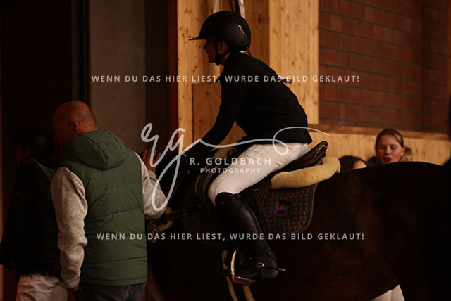 1J2A7397Fiby Sosna_ D_Amour du Foret Z_ Kn197_ Glantz_ Hohen Wieschendorf | Foto- und Videografie für alles rund ums Pferd. Hochwertige Bilder und Videos vom Spring- und Dressurreiten, Voltigieren & mehr. Jetzt aktuelle Veranstaltungen und Preise im Shop ansehen. - Realisiert mit Pictrs.com