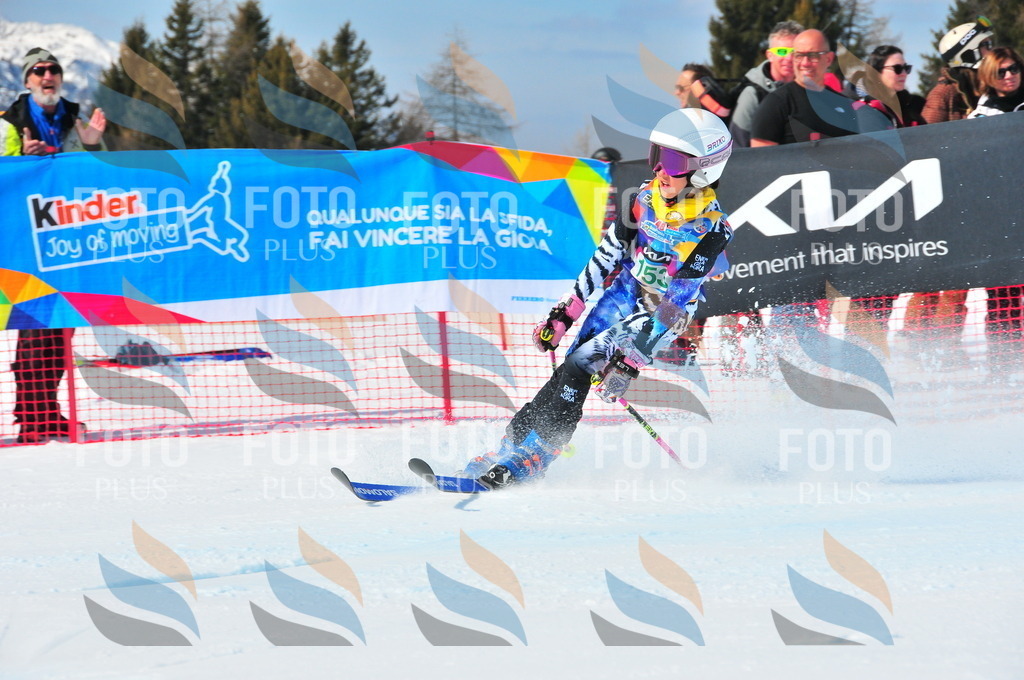 DSC_1357 | holidayphoto