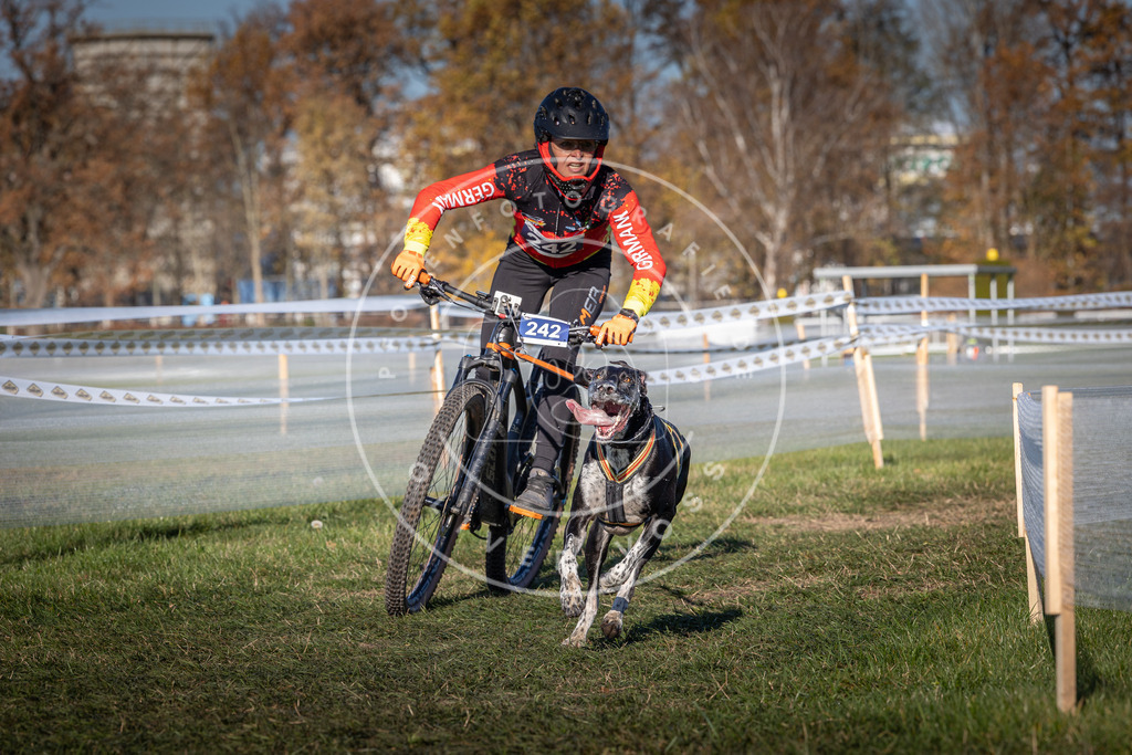 CaniXpix_0L8A4840 | Hundefotografie, Tierfotograf, Pfotenfotografie, Fotoshooting Hund, Hunde Portrait, Hundesport, Hundeportraits, Heideshooting, Hunde, Sportfotograf, Hundefotograf, Turnierhundsport, THS,  - Realisiert mit Pictrs.com