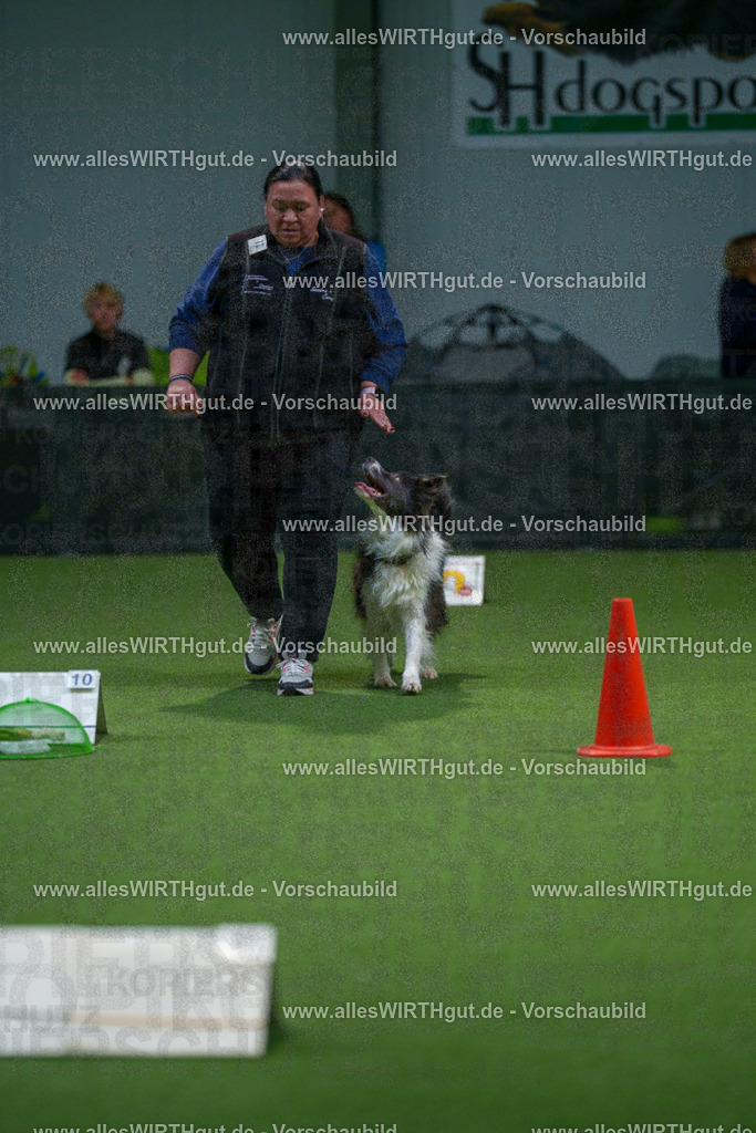 7R500254 | Professionelle Tierfotografie in Mönchengladbach von Daniel Wirth (allesWIRTHgut). Liebevolle & natürliche Bilder von Hunden & Katzen für unvergessliche Erinnerungen.