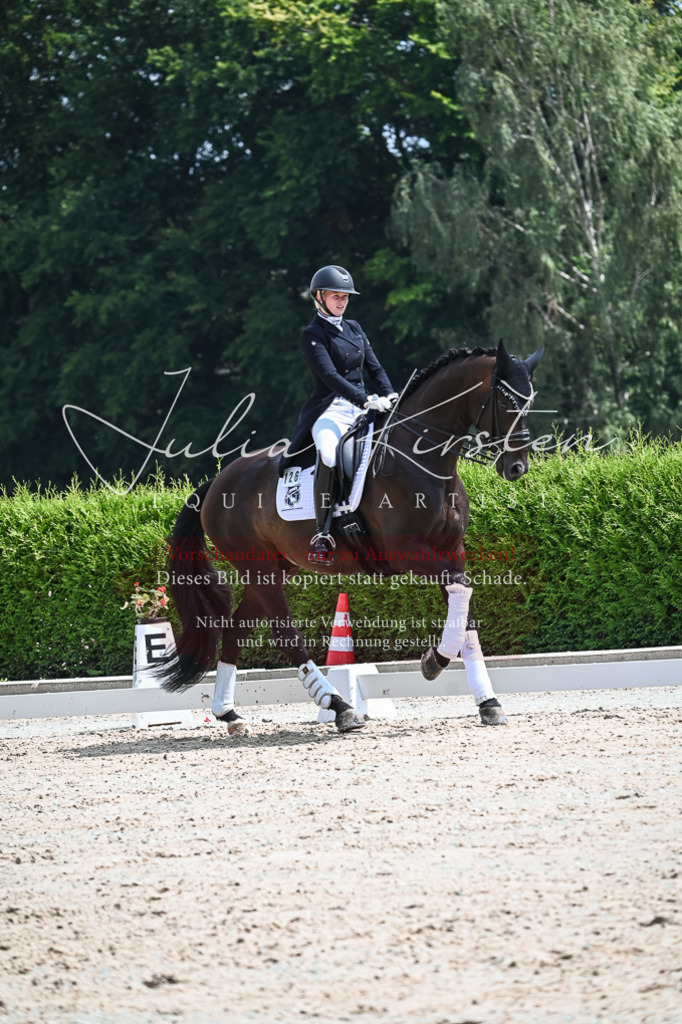 DSC_2666 | Pferde- und Turnierfotografie in Westsachsen. Pferdeportraits, Auftragszeichnungen und intuitive Kunst.