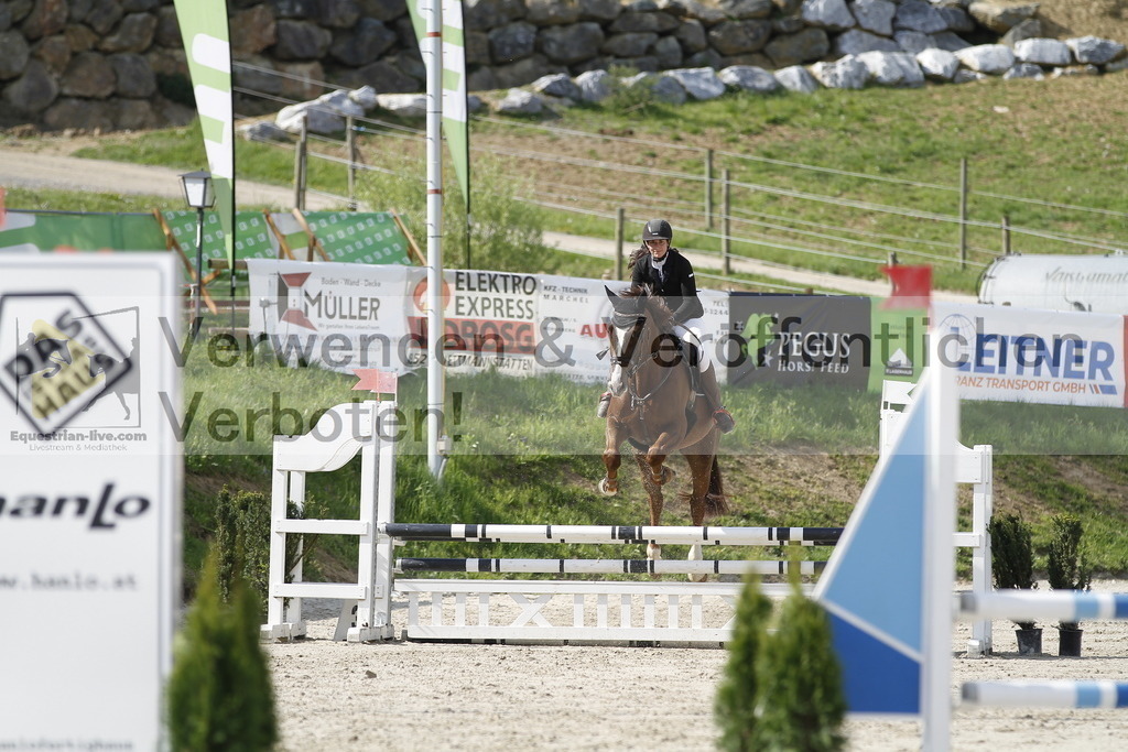_MG_7980 | equestrian-live-com