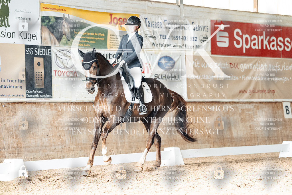 CK902757 | Turnierfotografie Pferdefotografie Trier Rheinland-Pfalz Pferdesport Reitsport Tierfotografie Sportfotografie Pferdevideo Pferdevideografie Equestrianvideography equestrianphotography  - Realisiert mit Pictrs.com