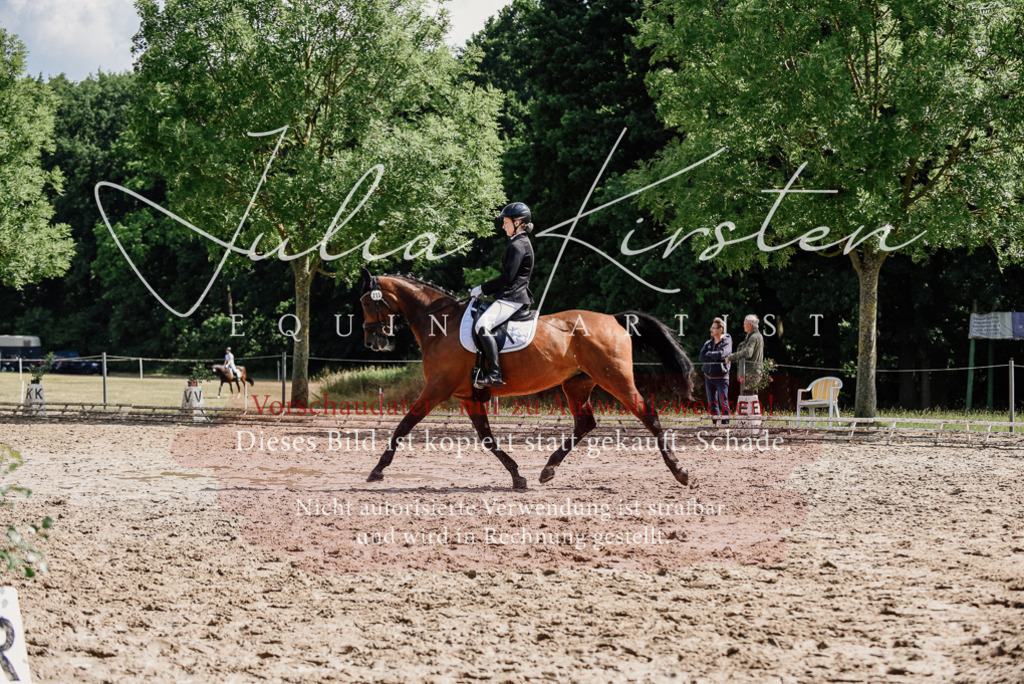DSC_0451 | Pferde- und Turnierfotografie in Westsachsen. Pferdeportraits, Auftragszeichnungen und intuitive Kunst.