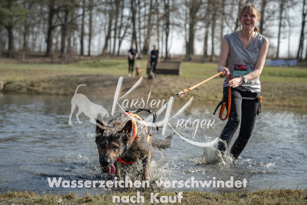 1316_ZZ95603 | kk-dogfotos