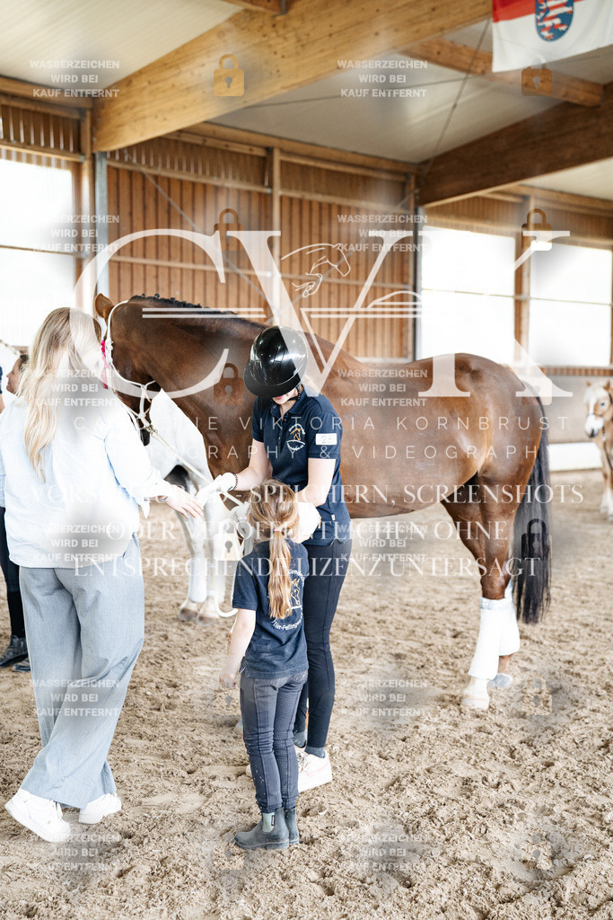 CK703286 | Turnierfotografie Pferdefotografie Trier Rheinland-Pfalz Pferdesport Reitsport Tierfotografie Sportfotografie Pferdevideo Pferdevideografie Equestrianvideography equestrianphotography  - Realized with Pictrs.com