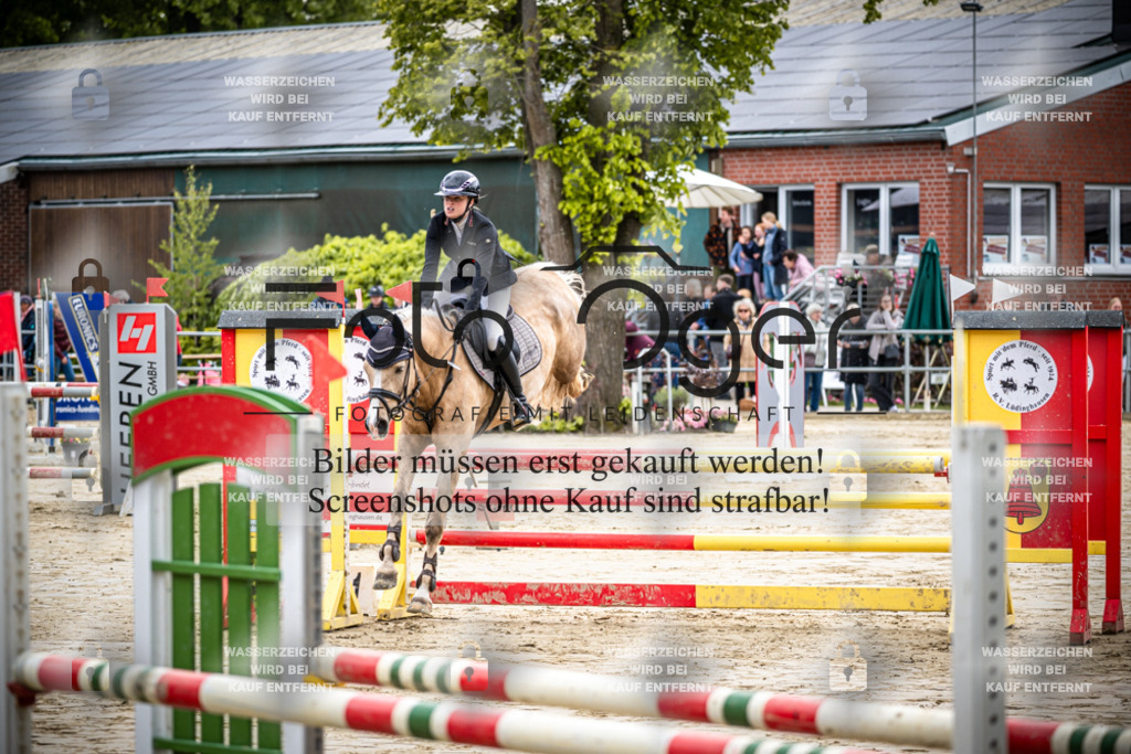 DOS_0111 | Reitturnier Lüdinghausen - Realisiert mit Pictrs.com