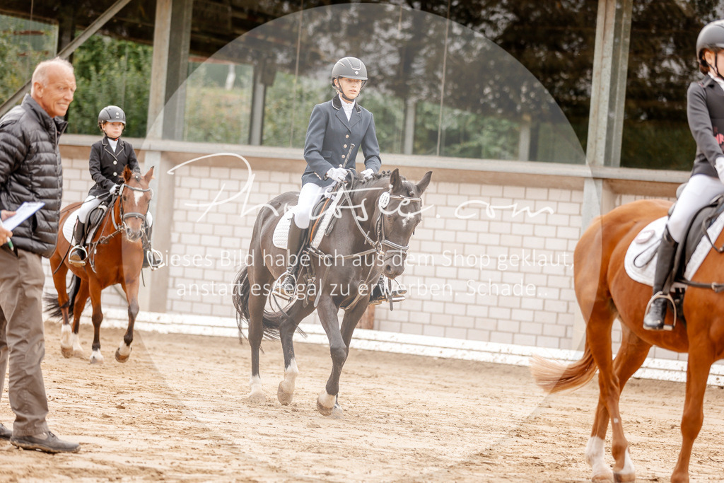 3I6A8350 | Stimmungsvolle Portraits und Reitsportfotografie im Ruhrgebiet und im Münsterland.

Pferdefotografie, Hundefotografie, Tierfotografie, Reportagen, Portraits von Tier und Mensch, Turnierfotografie in Bochum, Recklinghausen, Marl, Haltern am See, Dülmen.. - Realisiert mit Pictrs.com