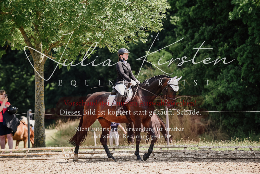 DSC_1049 | Pferde- und Turnierfotografie in Westsachsen. Pferdeportraits, Auftragszeichnungen und intuitive Kunst.