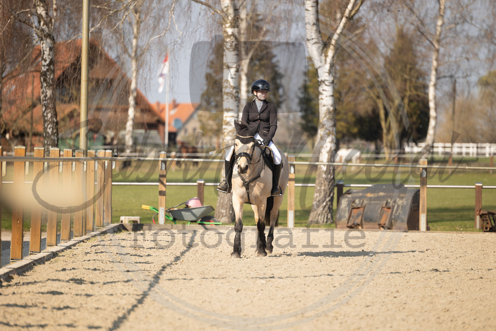 994A9709 | sabrinanicolaifotografie - Realisiert mit Pictrs.com