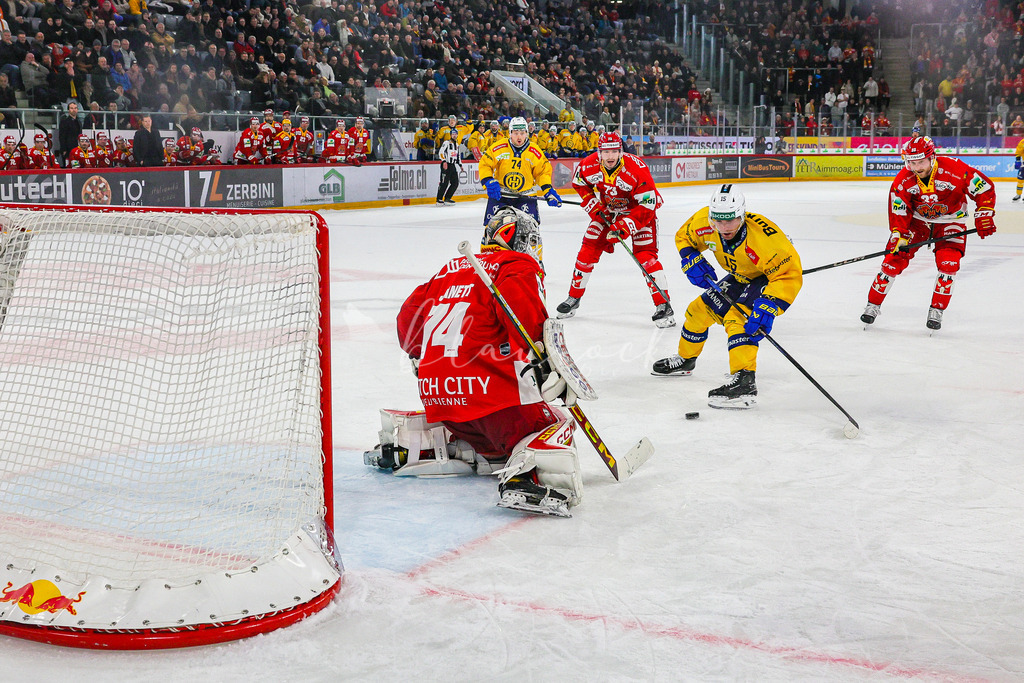 EHCB vs HCD 20260106_wb-0860 | Sportbilder, Sportfotograf, Hochzeits- und Eventfotografin, Flugshows, Portraits und Tiershooting, Aviation, Downhill, Nationalleague, Swissleague, International