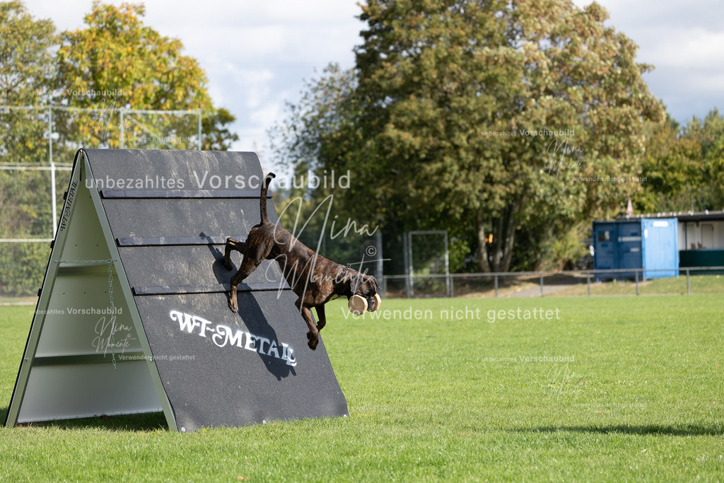 _16A6870 | Einzigartige Fotos von Hunden & Menschen –Actionfotos, Portraits, Vereinsaufnahmen & Paarshootings – authentisch, lebendig & mit Herz.