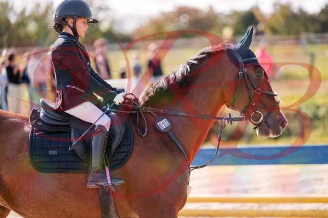 2026_10_03_Siefer-Hof_143844_Z81_09483025 | Professionelle Reitsport-, Turnier- und Eventfotografie von Robert Broda. Galerien mit ausgewählten und bearbeiteten Bildern direkt online ansehen und bestellen.