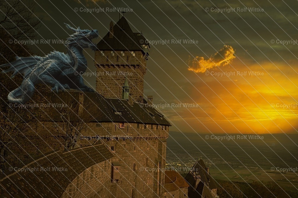 1D3A0914 | Rolf Wittke  - Realisiert mit Pictrs.com