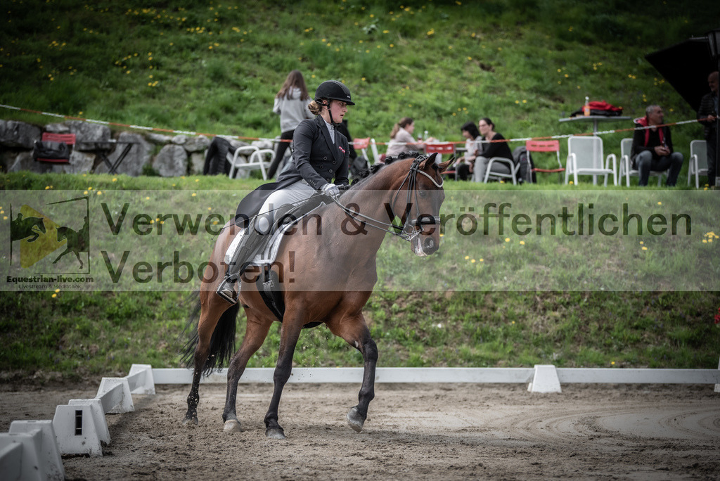 DSC_2456 | equestrian-live-com