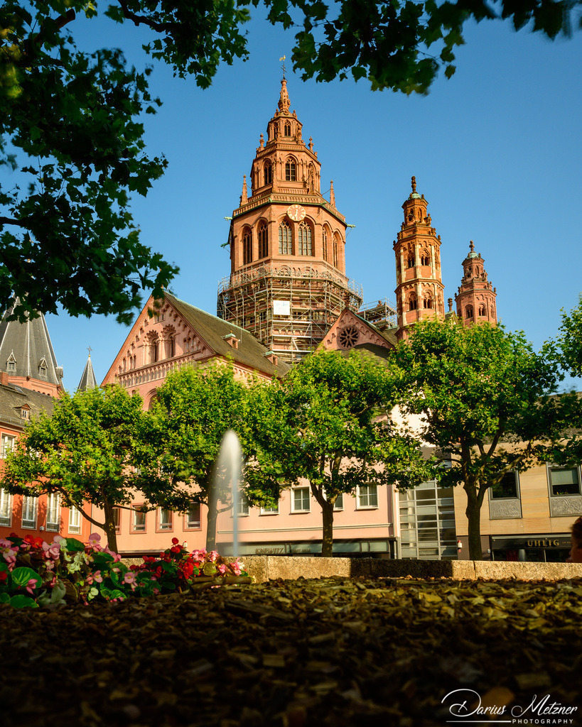 Der Mainzer Dom St Martin | Der Mainzer Dom St Martin