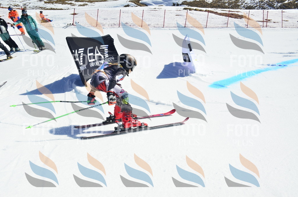 _ELE9669 | holidayphoto