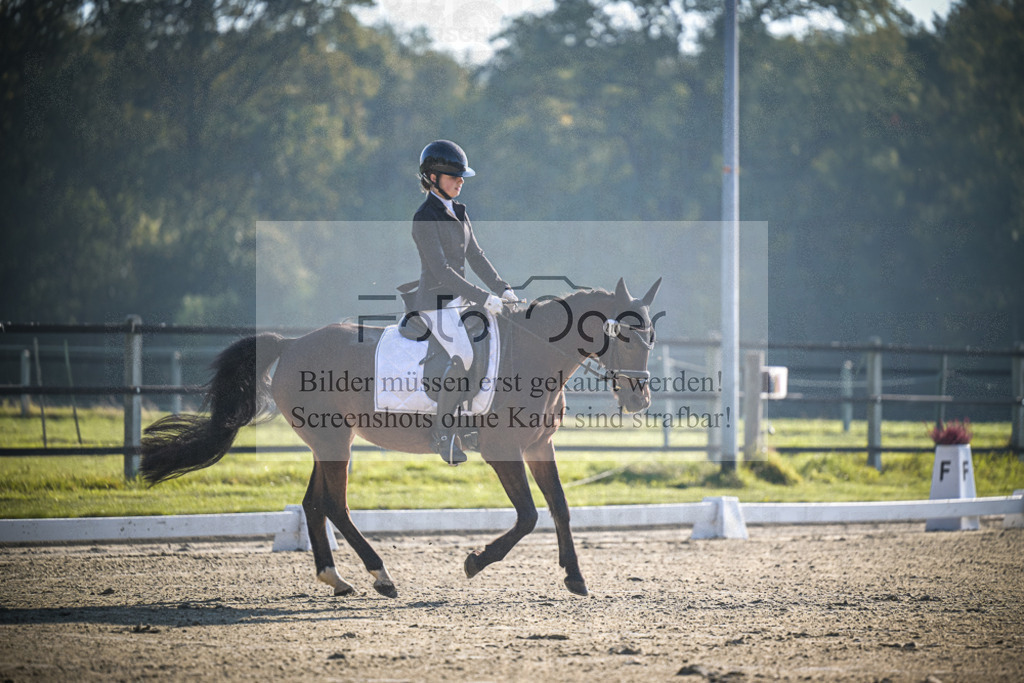 DOS_0638 | Entdecke hochwertige Reitturnierfotos von Foto Oger. Professionell, emotional und authentisch – jetzt Lieblingsmomente im Shop bestellen.Deutschlandweite Turnierfotografie. - Realisiert mit Pictrs.com