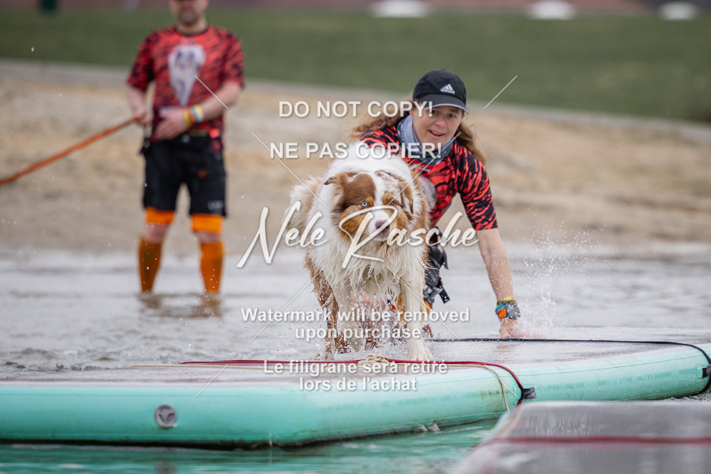 nelerasche_Hulsbeek_Sa1130-1230_467 | nelerasche