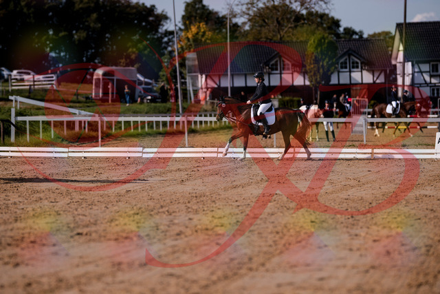 2026_10_03_Siefer-Hof_115613_Z81_96401782 | Professionelle Reitsport-, Turnier- und Eventfotografie von Robert Broda. Galerien mit ausgewählten und bearbeiteten Bildern direkt online ansehen und bestellen.